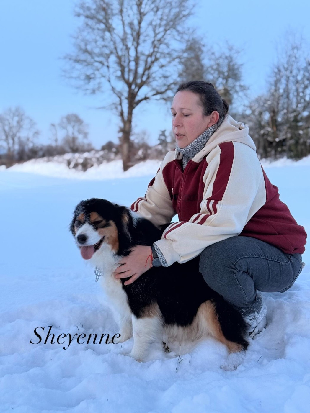 Sheyenne de la rivière des Aulnes