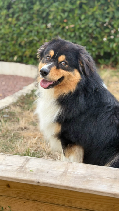 Venome du domaine de country