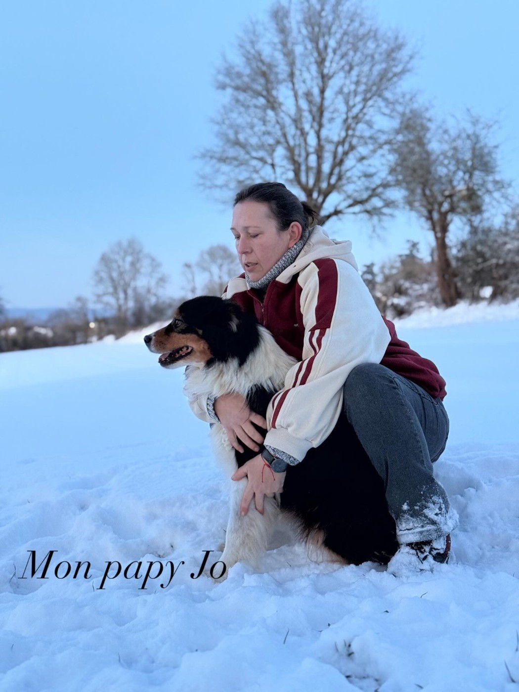 Nos chiens dans la neige