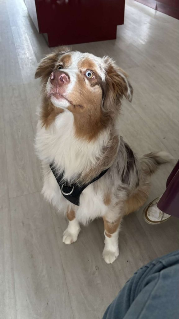 Bébés 2024 devenus grand 