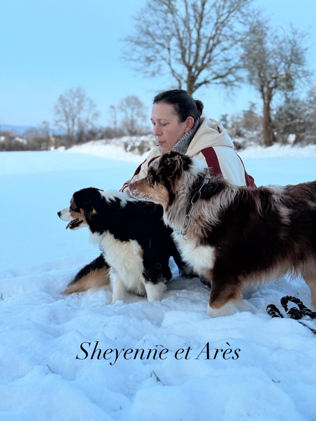 du domaine de country